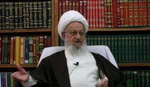 آیت‌الله مکارم‌شیرازی: مردم سنگ تمام گذاشتند