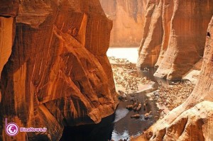 چشمه‌ای از بهشت! / تصاویر