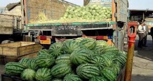 تکذیب خبر«هندوانه‌های ‎آلوده ‎صادراتی ‎ایران»